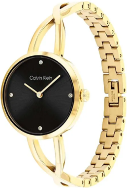 CK25100059 Saat