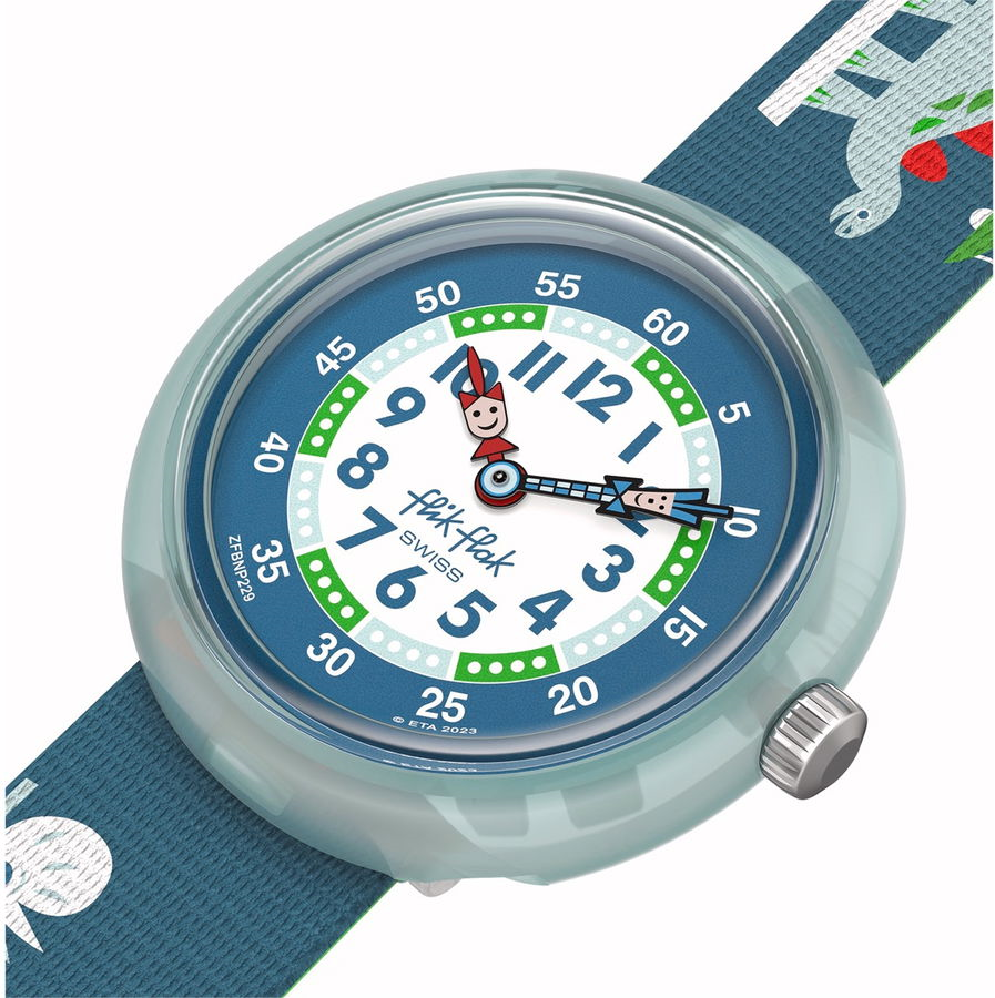FBNP229 Saat