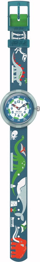 FBNP229 Saat