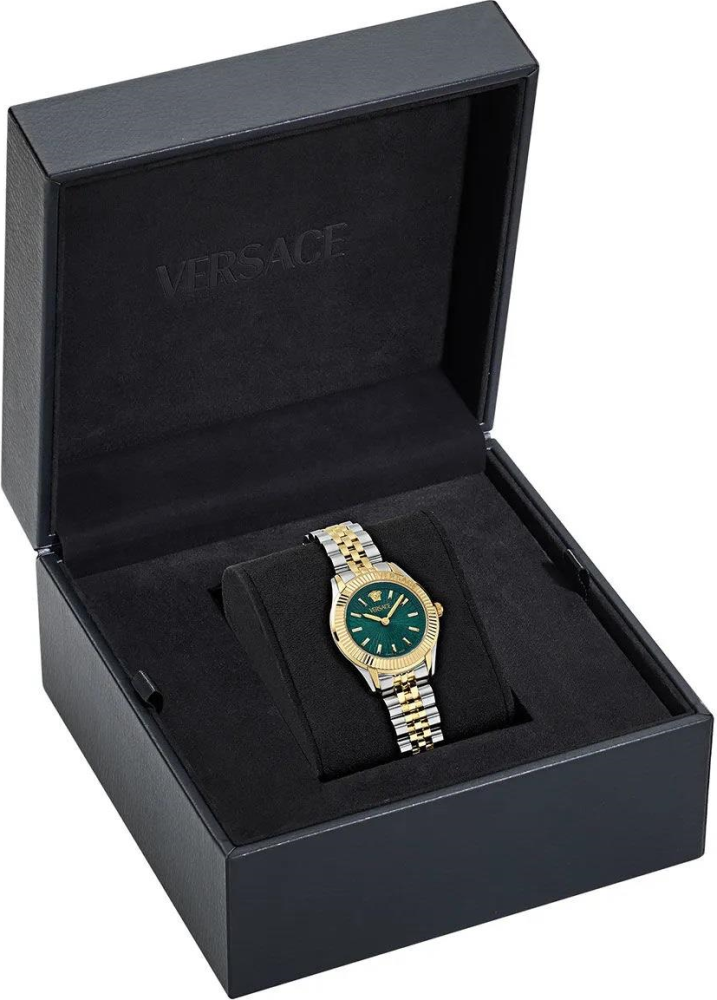 VRSCVE9CA0324 Saat