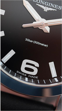 Longines L37594583 Saat