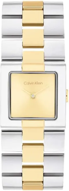 Calvin Klein CK25100115 Saat