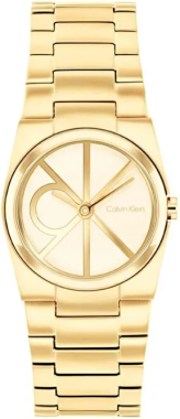 Calvin Klein CK25100127 Saat