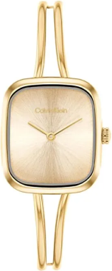 Calvin Klein CK25100132 Saat