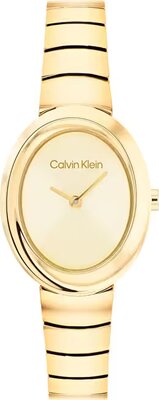 Calvin Klein CK25100147 Saat