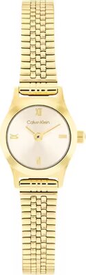 Calvin Klein CK25100201 Saat