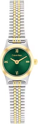 Calvin Klein CK25100202 Saat