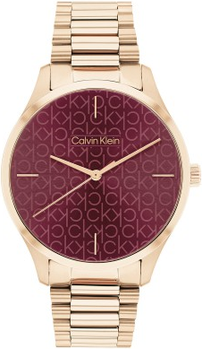 Calvin Klein CK25200169 Saat