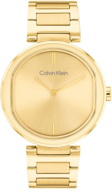 Calvin Klein CK25200252 Saat