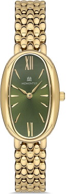 Momentus CW254G-15SG Saat