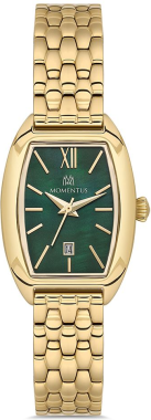 Momentus CW310G-15SG Saat