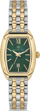 Momentus CW310T-15SG Saat