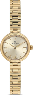 Momentus CW313G-08SG Saat