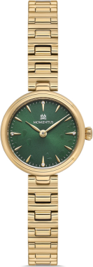 Momentus CW313G-15SG Saat