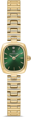 Momentus CW317G-15SG Saat