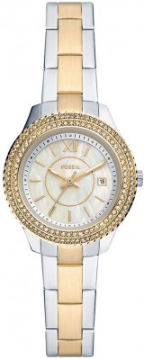 Fossil ES5138 Saat