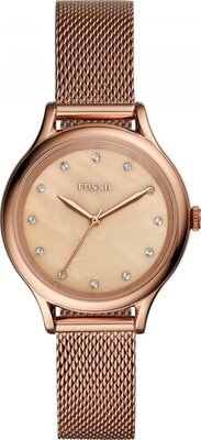 Fossil FBQ3392 Saat