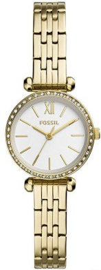 Fossil FBQ3503 Saat