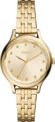 Fossil FBQ3863 Saat
