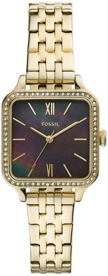 Fossil FBQ3917 Saat