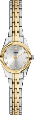 Fossil FES5473 Saat