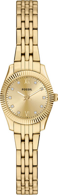 Fossil FES5474 Saat