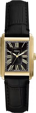 Fossil FFS6091 Saat