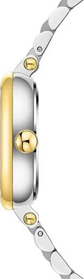 Jacques Philippe JPQLS807328YG Saat