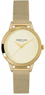 Kenneth Cole KC15055002 Saat