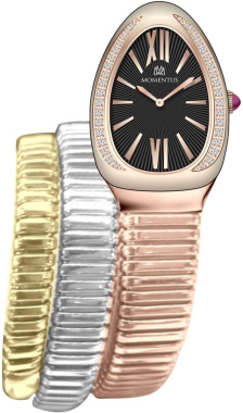 Momentus SS256R-06SZ Saat