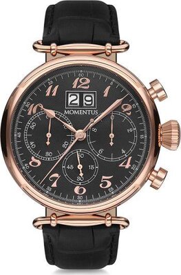 Momentus TM250R-04BR Saat